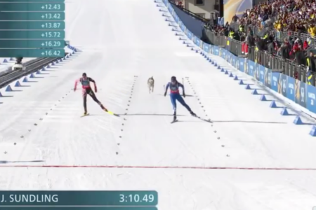 冬季五輪クロスカントリー競技にワンコが飛び入り、選手とともにゴールする