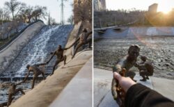 世界で拡散された“犬の救出劇”を再現　誰でも参加できるアート作品が話題