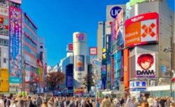 東京圏の人口は3340万人で世界3位　2050年は7位予測