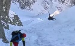 ポーランド国境の山で登山者が滑落、急斜面を転がっていく姿が恐ろしい【動画】