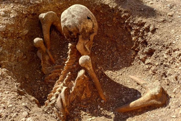 古代ガリア人の人骨、穴の中で座った状態のまま発見【フランス】
