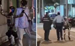 人型ロボットが路上で高齢女性を驚かせ、警察に拘留される