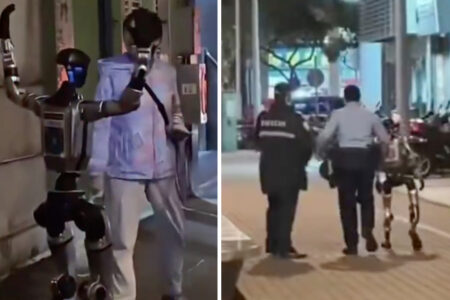 人型ロボットが路上で高齢女性を驚かせ、警察に拘留される