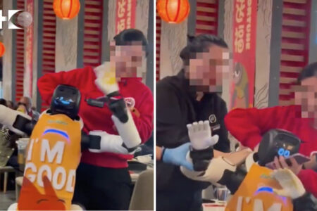 レストランのロボットウエイターが突然誤作動、皿を割り、手を振り回し始める