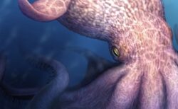 1億年前、恐竜時代に生息していた巨大なタコ、顎の化石から大きさを特定