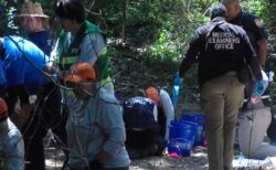 犬の散歩をしていた人物、森の近くで人間の頭蓋骨らしきものを発見【アメリカ】