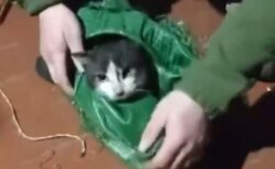 ウクライナ兵がドローンを使い、最前線から犬と猫を避難させる