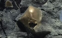 海底で発見された謎めいた金色の物体、ついに正体を解明