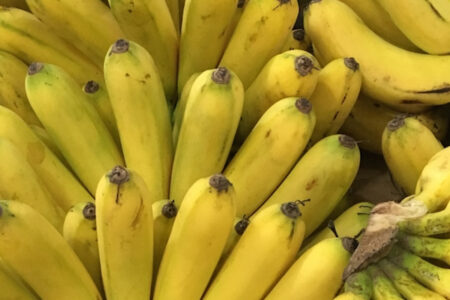 店の発注ミスでイギリスの小島に住民数の2倍、3万8千本のバナナが到着