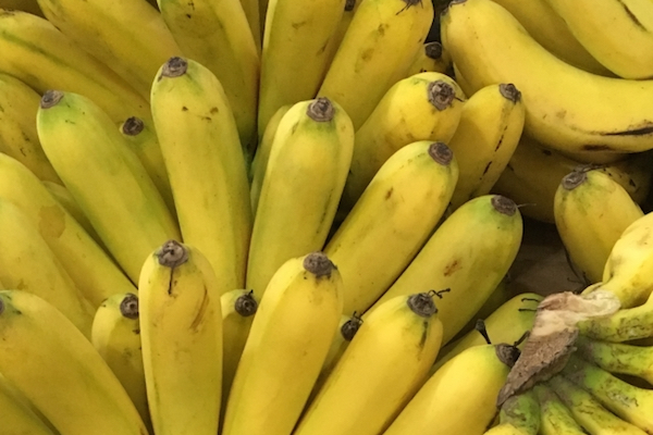 店の発注ミスでイギリスの小島に住民数の2倍、3万8千本のバナナが到着