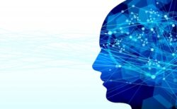 高齢女性がAIによる顔認識のミスで無実の罪を着せられ、約6ヶ月間の拘置所入り