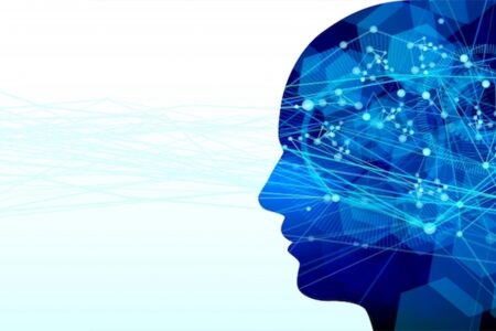 高齢女性がAIによる顔認識のミスで無実の罪を着せられ、約6ヶ月間の拘置所入り