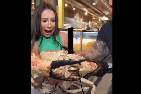 オーストラリアのTVレポーター、生中継でカニに挟まれ病院へ