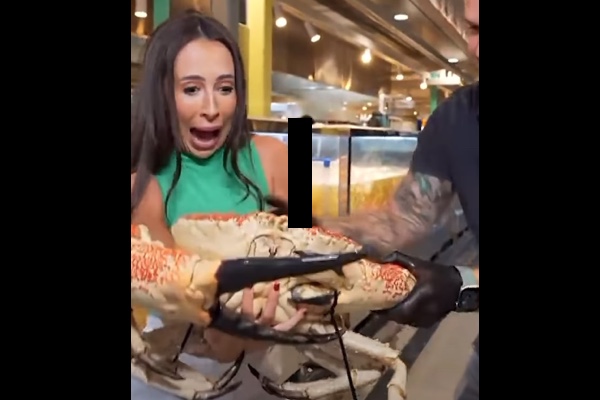 オーストラリアのTVレポーター、生中継でカニに挟まれ病院へ