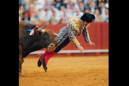 スペインの闘牛士、牛の角が肛門に突き刺さり悶絶