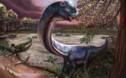 タイで巨大な草食恐竜の化石を発見、東南アジアでは最大級