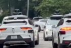 豪のスーパーで購入した、レタスの袋の中にカエルを発見【動画】
