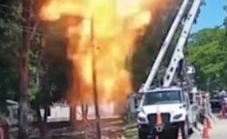 突然、電柱が大きな炎に包まれる、意外な原因とは？【動画】