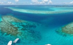 モルディブの深海洞窟で、ダイビングをしていたイタリア人5人が死亡