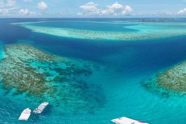 モルディブの深海洞窟で、ダイビングをしていたイタリア人5人が死亡