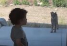 史上最速のノックアウトか？ドイツ人のボクサー、1発のパンチで相手を倒す【動画】