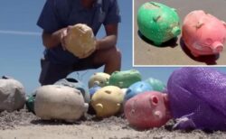 テキサス州の海岸に、ブタの貯金箱が多数流れ着く