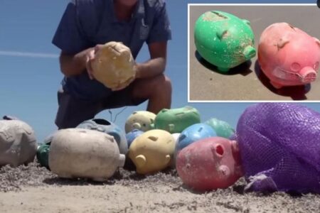 テキサス州の海岸に、ブタの貯金箱が多数流れ着く