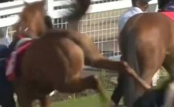 英の競馬場で、女性の厩務員が馬に激しく蹴られ、病院へ搬送【動画】