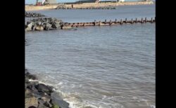 海辺の岩に頭が挟まった母親、満潮になり娘の前で死亡