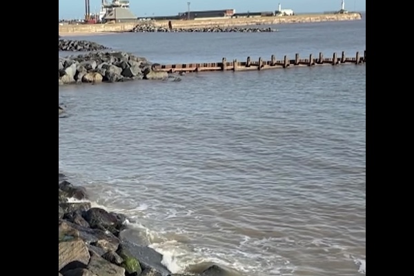 海辺の岩に頭が挟まった母親、満潮になり娘の前で死亡