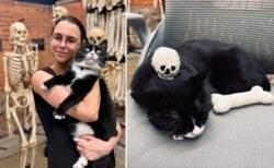 骨博物館のセキュリティ担当は猫！ 風格あふれるボーン・ジョヴィがかわいすぎる