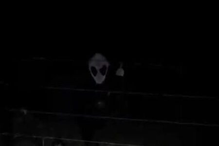 暗闇に浮かぶエイリアンのような顔、その正体が意外過ぎた！【動画】