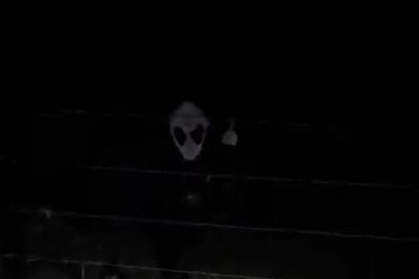 暗闇に浮かぶエイリアンのような顔、その正体が意外過ぎた！【動画】