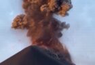 魚が犬用のボールをくわえてしまい、泳げなくなってしまう【動画】