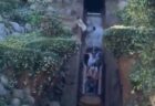 ディズニーの人気アトラクションで事故、少年が15mの滝を滑り落ちる【動画】