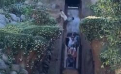 ディズニーの人気アトラクションで事故、少年が15mの滝を滑り落ちる【動画】