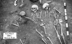 古代人のDNAを分析、5500年前にペストが蔓延していた痕跡を発見