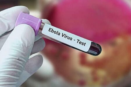 アフリカでのエボラ出血熱、緊急対策をしなければ死者が4000人になる可能性