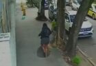 なぜ1匹で漂流?沖合でボートに乗っていた犬を救助【動画】