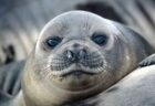 ヨーロッパ各地で猛暑、気温が40℃近くまで到達