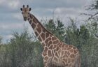 北京にある高層ビルに小型機が衝突、機体が砕けて落下【動画】