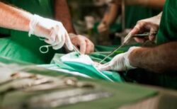 イギリス人男性の遺体を解剖、3つのペニスがあることが判明