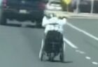 オーストラリアの道路に大量のオウムの群れ、車の運転手も驚愕【動画】