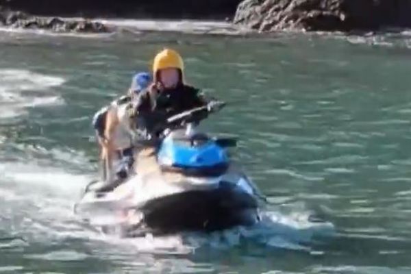 オーストラリアで犬が海に流され、島に漂着、その後救出される【動画】