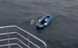 なぜ1匹で漂流？沖合でボートに乗っていた犬を救助【動画】