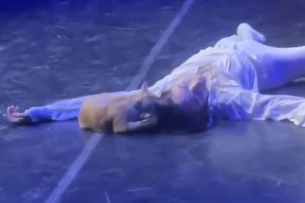 野外劇場で「ロミオとジュリエット」の上演中、ネコが舞台に現れる【動画】