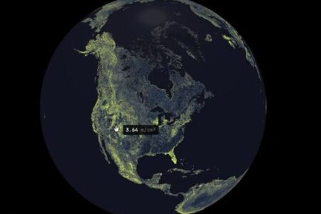 地下に広がる菌類ネットワークは想像以上に広大、新たな研究で判明