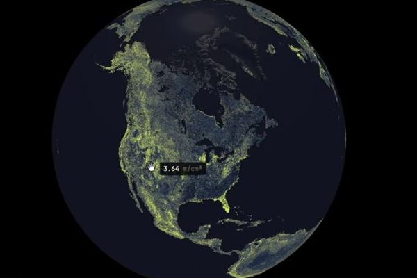 地下に広がる菌類ネットワークは想像以上に広大、新たな研究で判明