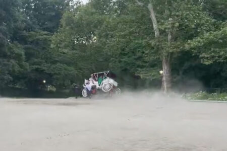 ニューヨークの観光馬車がセントラルパークで暴走、放り出された客が死亡