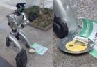 世界で400頭しかいないスマトラタイガー、英の動物園で3匹の子供が誕生